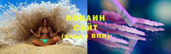 дживик Бородино
