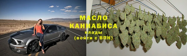 дживик Бородино