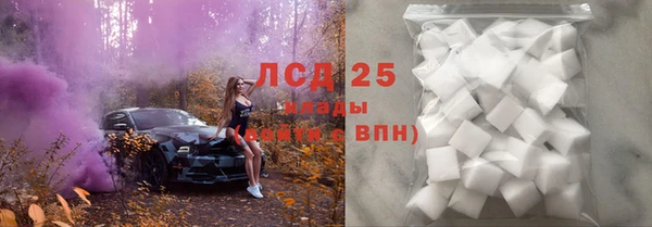 дживик Бородино