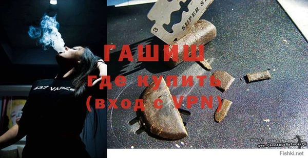 дживик Бородино