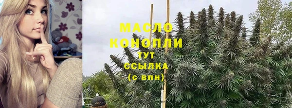 дживик Бородино