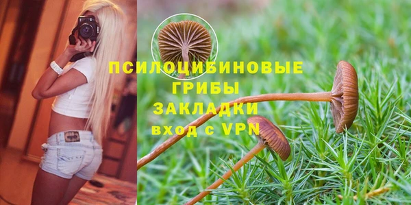 крисы Бронницы