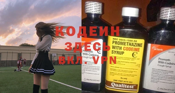 дживик Бородино
