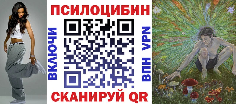 Псилоцибиновые грибы Psilocybe  Моршанск 