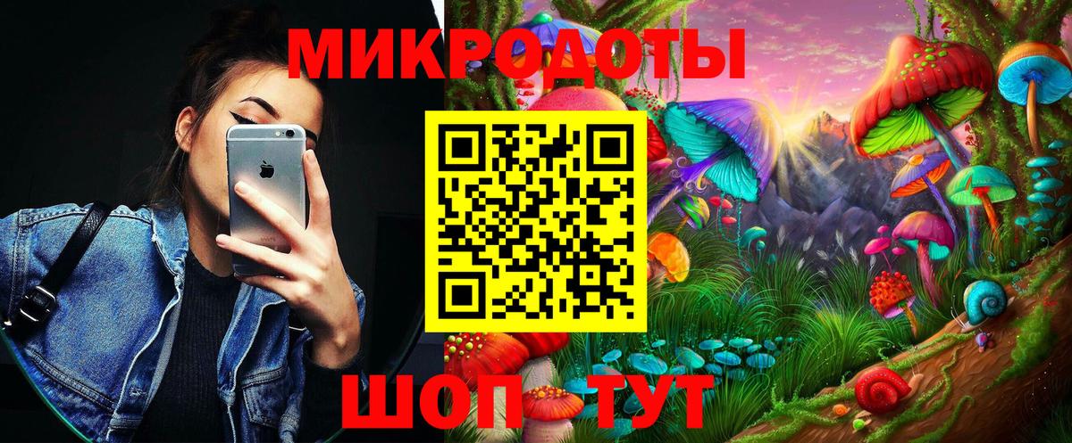 Псилоцибиновые грибы мицелий Моршанск