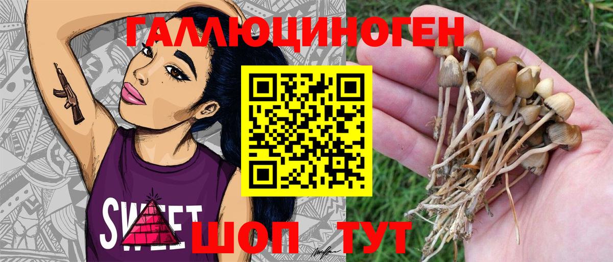 Галлюциногенные грибы GOLDEN TEACHER Моршанск