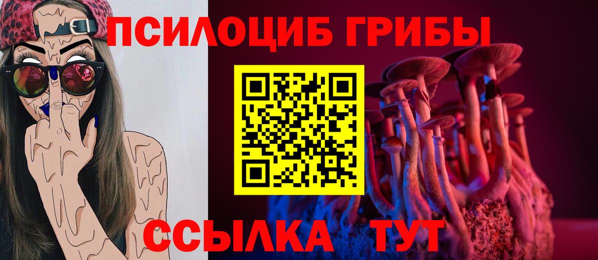 Псилоцибиновые грибы Cubensis  Вход с VPN  Моршанск 